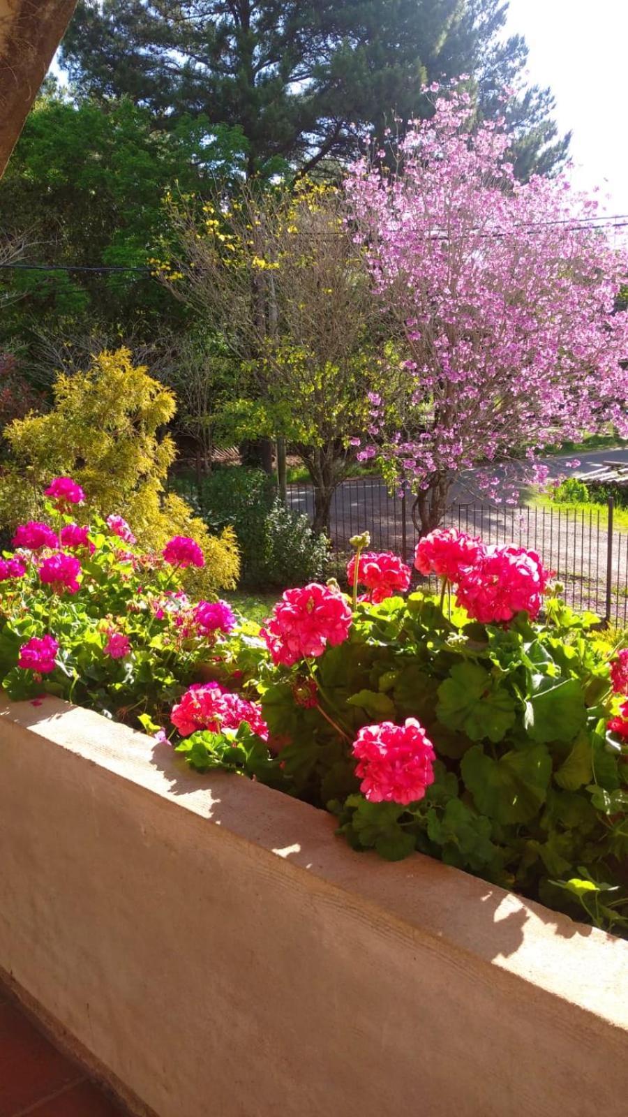 La Casona Del Lago Balneario Ipora Buitenkant foto